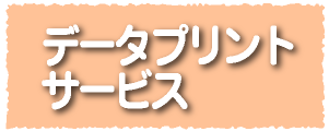 データプリントサービス　広島　印刷会社　広島の印刷会社　広島　ホームページ制作・SEO対策　　株式会社レリーフ